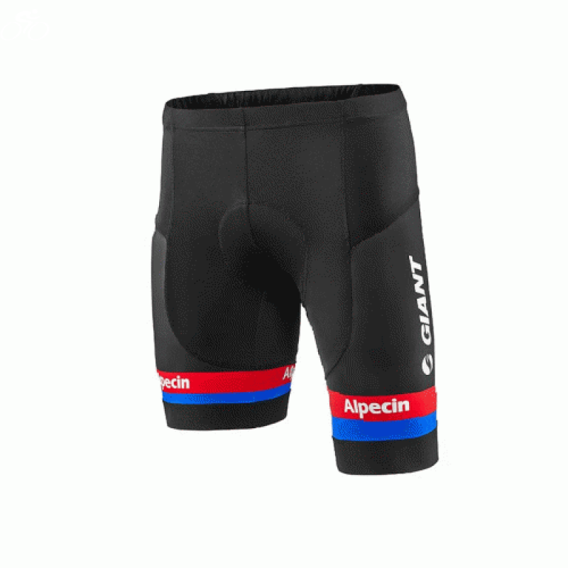 QUẦN NGẮN GIANT-ALPECIN REPLICA